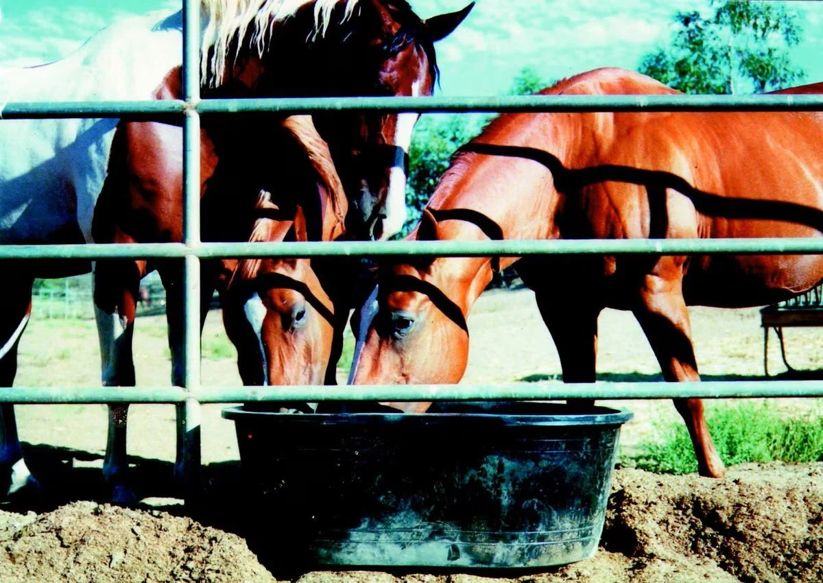 Tuff Stuff Livestock Tank - Image 3