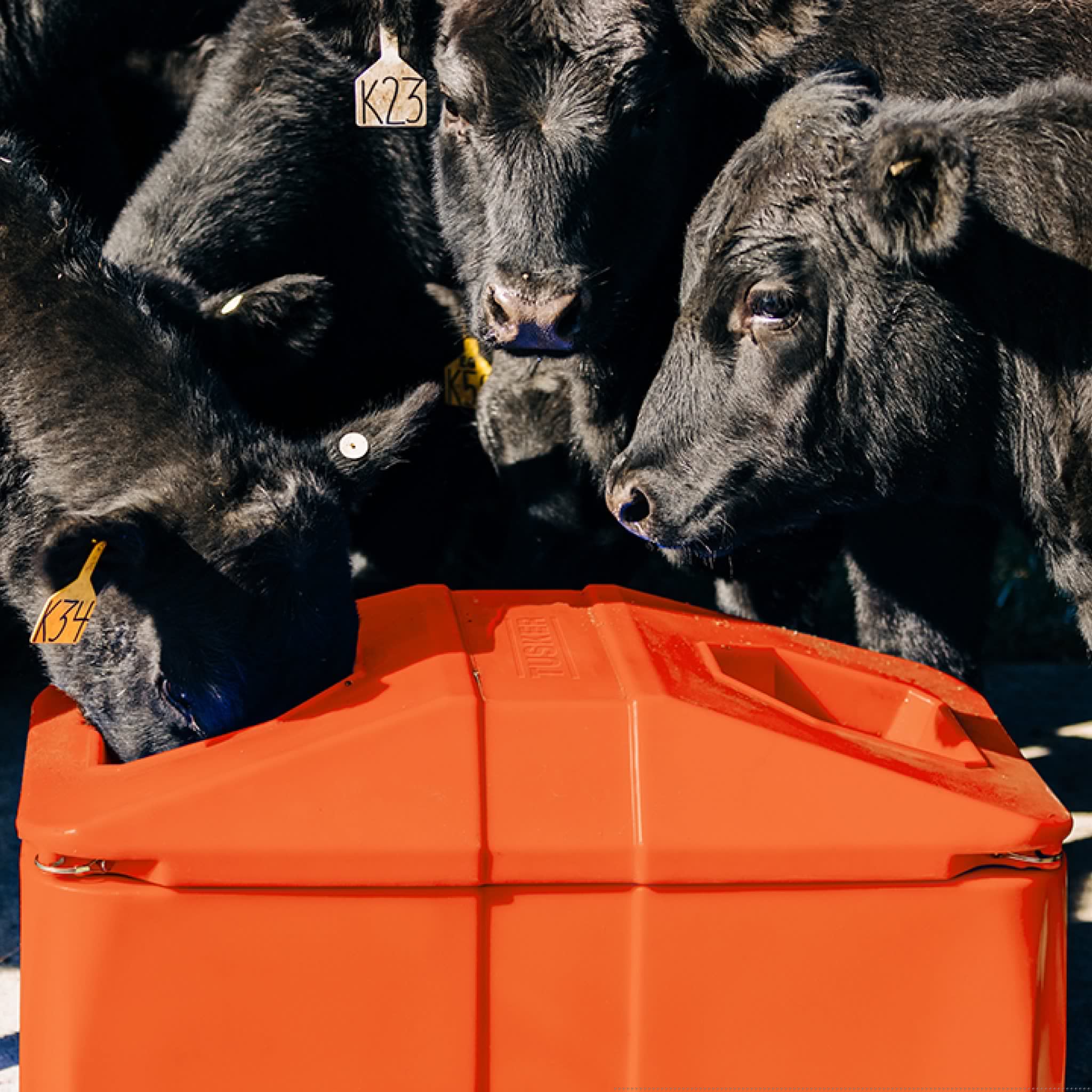 Tusker Four Hole Energy Free Waterer - Image 4